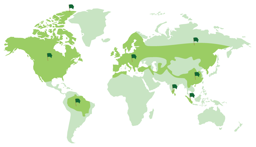 Карта